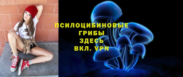 ешки Вязьма