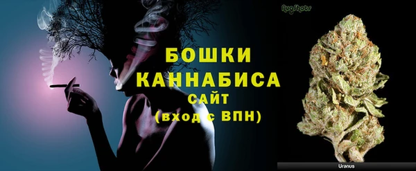 ешки Вязьма