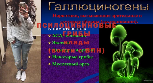 ешки Вязьма