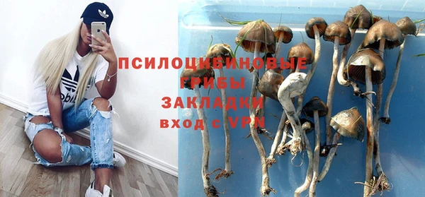 метадон Вяземский