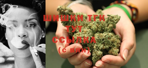 ешки Вязьма