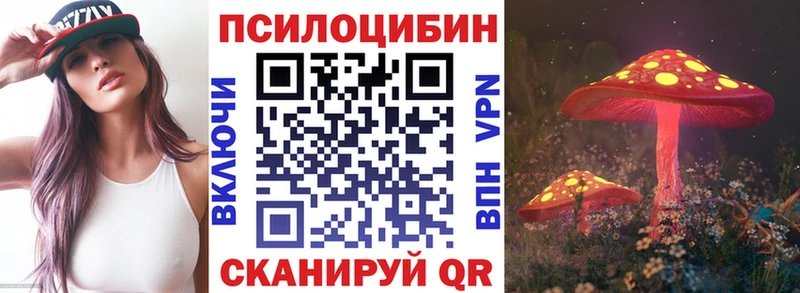 МЕГА как войти  Элиста  Псилоцибиновые грибы Cubensis 